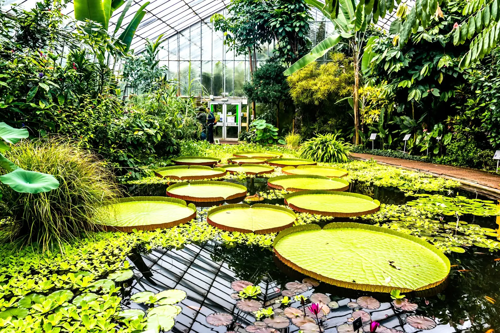 Botanical Garden